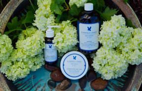 Healing Lifestyles Relaunch