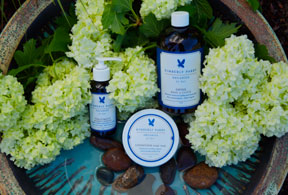 Healing Lifestyles Relaunch