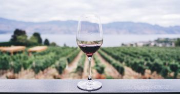 Wine Wellness