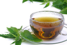 Seven Essential Herbs for Women