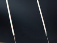 Chinese Medical Herbalist