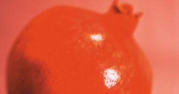 Promise of Pomegranate