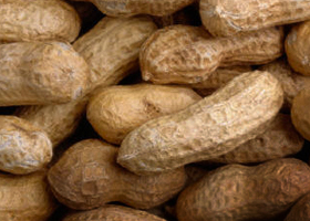 Peanut
