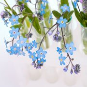 Five Female Skincare Pioneers