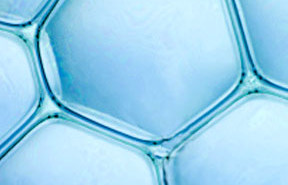 Trends in skincare