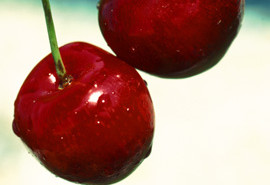 Stress Tips From Experts