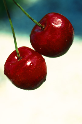 Stress Tips From Experts