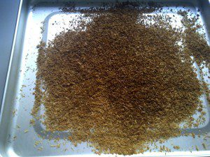 Toasted Coconut