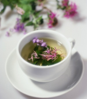 Herb Garden