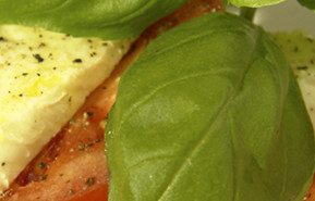 Best Diet for Brain Health