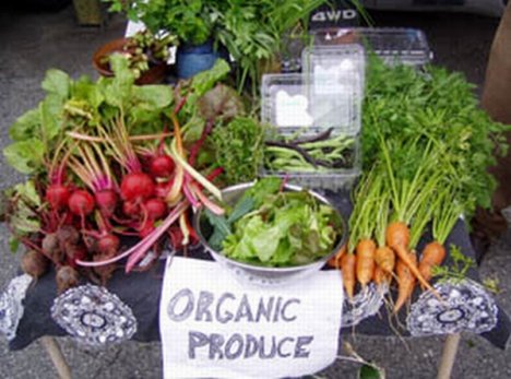 Organic Garden