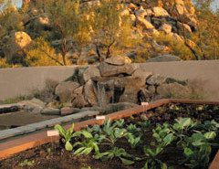 Door to Door Organics