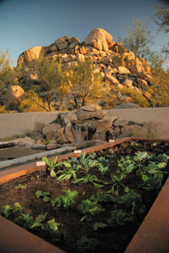 Door to Door Organics