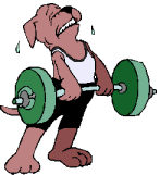 Exercising with dog