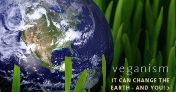 How Can Veganism Change The Earth