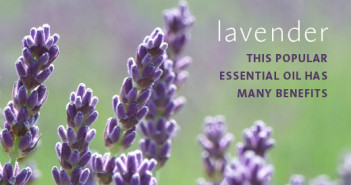 Oral Health Benefits of Lavender
