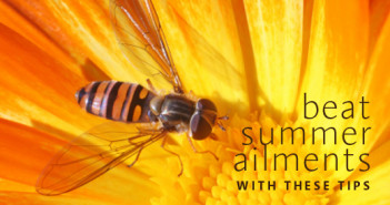 Summer’s Ailments