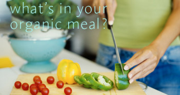 Organic Meal