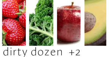 Dirty Dozen
