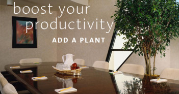 Plant Productivity