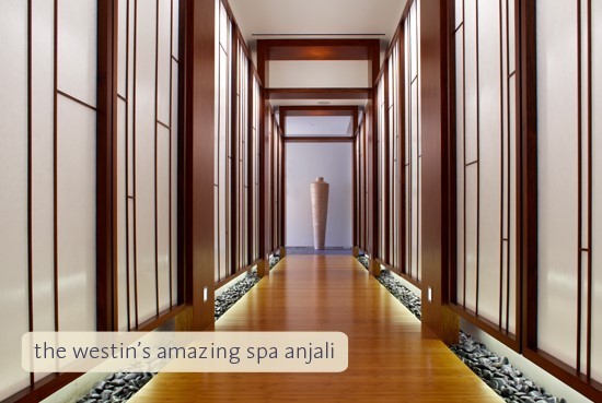 westin riverfront resort