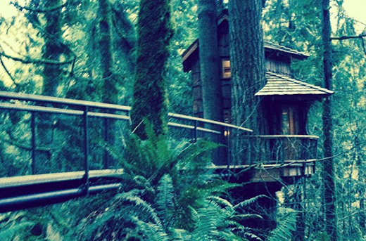treehouse-point