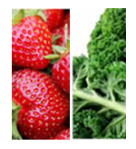 kalestrawberrytipimage