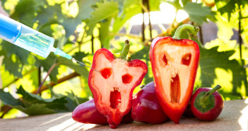 bell pepper next to a syringe against, gmo food concept