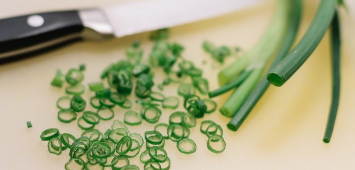 Growing Vegetables From Scraps—16 Easiest Veggies.