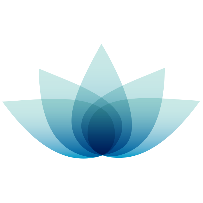Healing Lifestyles & Spas logo